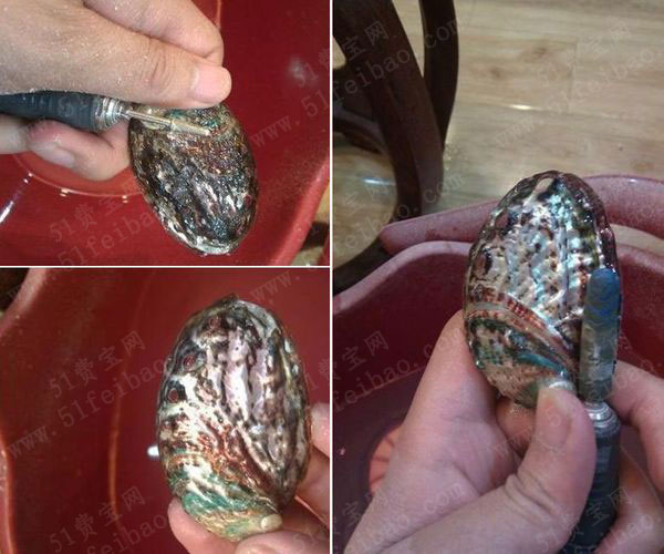 打造另类人手工鲍鱼壳文玩工艺品 - 废物利用手工diy小制作 - 51费宝