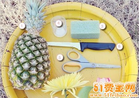 菠萝皮的作用之DIY菠萝花瓶的做法