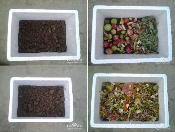 阳台种菜怎么利用厨余自制花肥