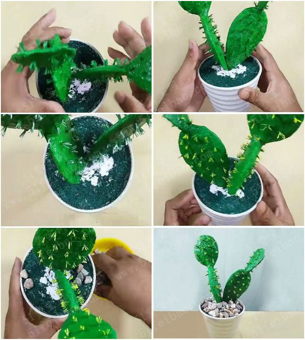 废纸板diy人工盆栽仙人掌教学