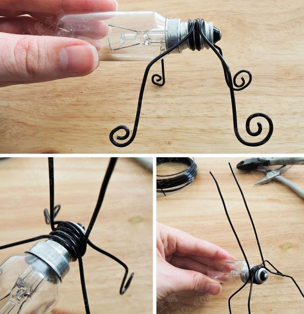 5,触角往前探出,完成了这个diy灯泡萤火虫的做法,其他制作灯泡昆虫的