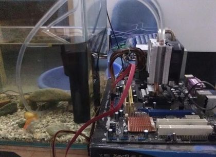 如何利用废电脑主板零件做鱼缸过滤系统