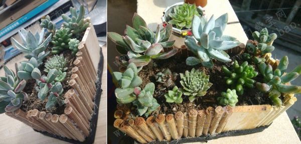 旧筷子简易变化田园风格花盆