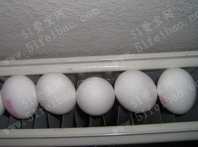 利用废鸡蛋壳如何制作复活节彩蛋
