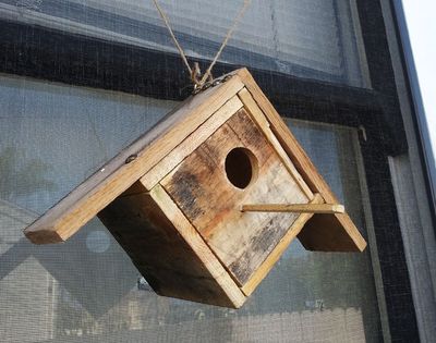 旧物利用废木板做方便观鸟的diy人工鸟巢木屋