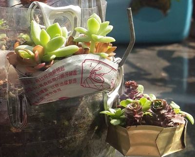 创意易拉罐封口片diy多肉小吊篮