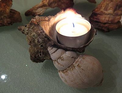 生蚝壳的作用：利用生蚝壳做diy个性蜡烛/烛台