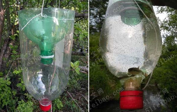 可乐瓶废物利用做简单鱼笼做法教程