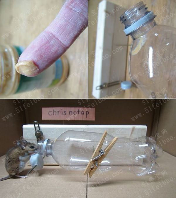如何使用矿泉水瓶制作一个高效的捕鼠器