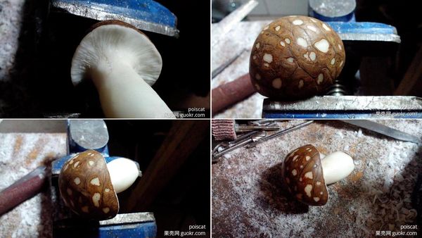 象牙果小制作:diy逼真萌物小蘑菇