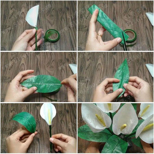相同方法制作其余花朵,插入花盆内,完成diy塑料膜马蹄莲.