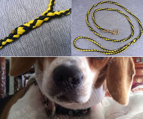 如何利用伞兵绳编一条diy遛狗绳