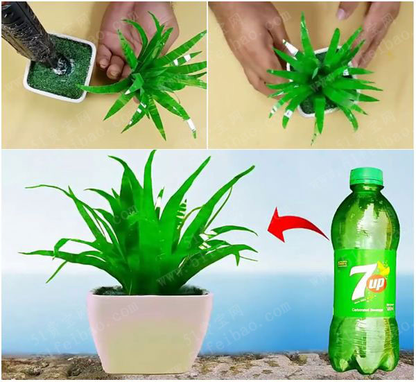 怎麼用废旧塑料瓶做一盆青翠兰花草盆栽