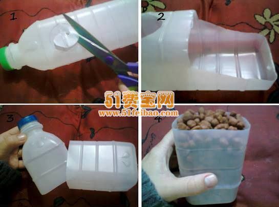 diy自动宠物投食器