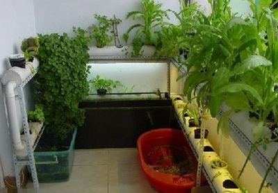 家居创意diy：利用水管手工制作阳台种蔬菜花盆