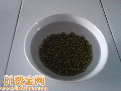 用矿泉水瓶在家自制安全新鲜的豆芽