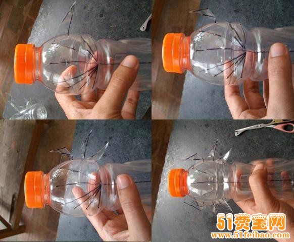 利用饮料瓶DIY大型蝗虫标本摆件