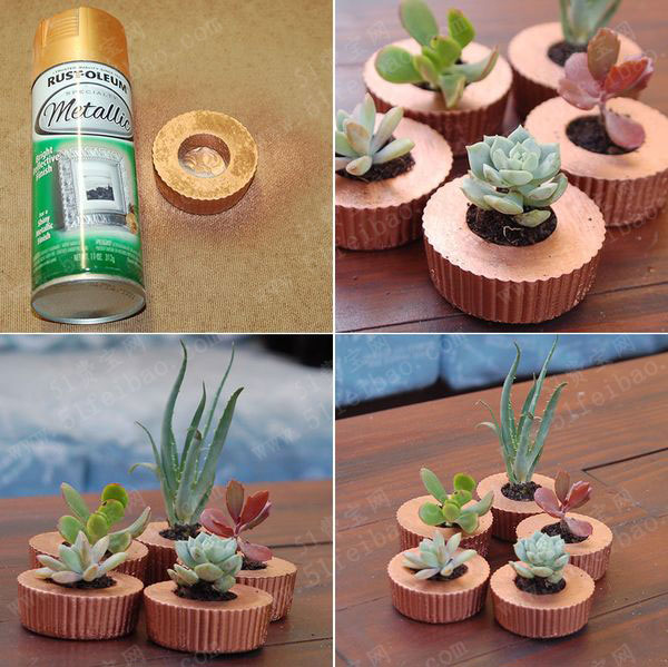 废月饼盒diy金色多肉盆栽花盆