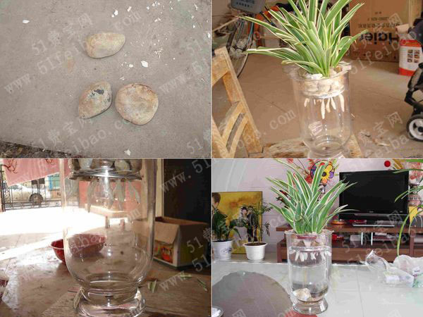 怎样diy水培定植花盆图解教学