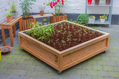 用木板制作带滑轮的diy正方形花盆苗圃