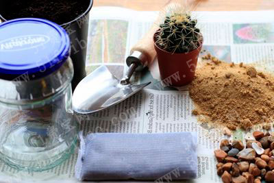 罐头玻璃罐改造温室植物礼品瓶